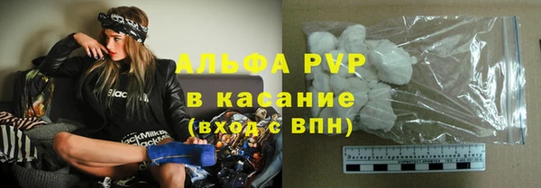 крисы Абаза