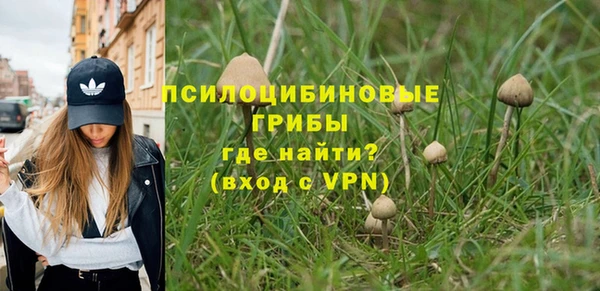крисы Абаза