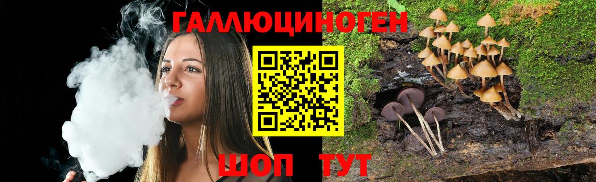 Псилоцибиновые грибы мухоморы  даркнет сайт  Псилоцибиновые грибы мицелий  Каменск-Шахтинский  Вход с VPN 